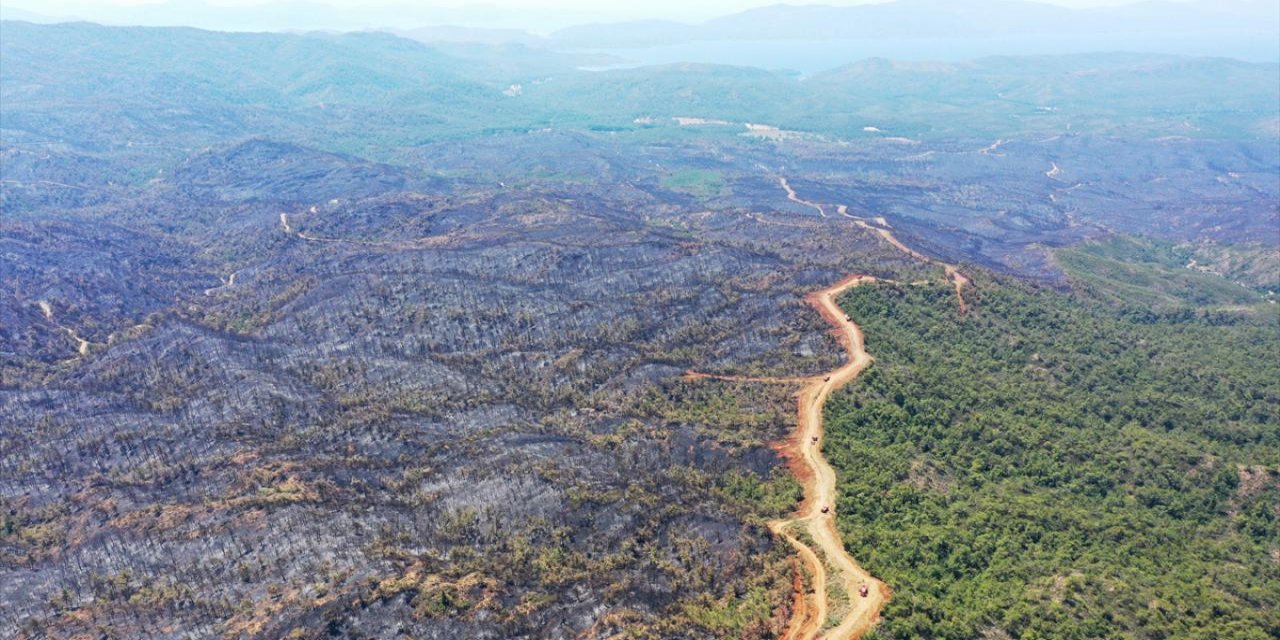 Yangın emniyet şeridi ile alevlerin önü kesildi