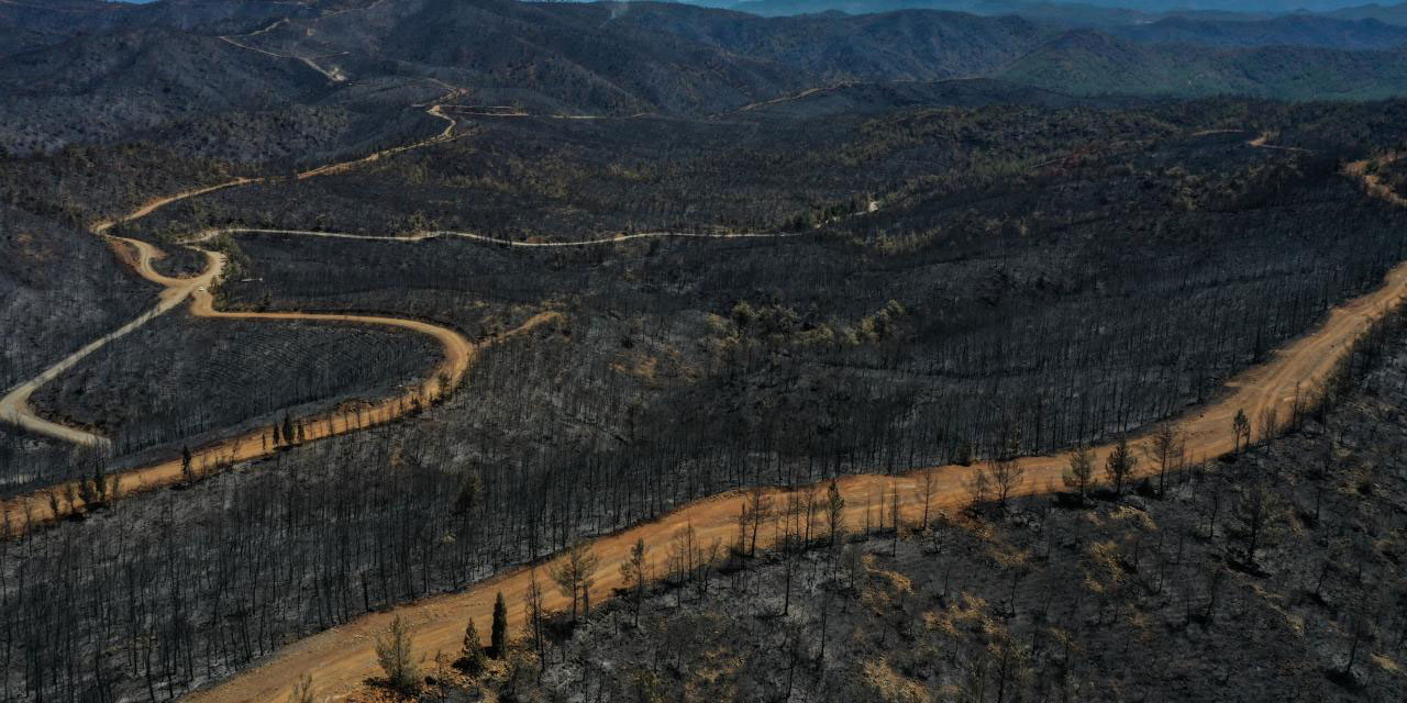 Marmaris yangınında 4 bin 500 hektar alan küle döndü