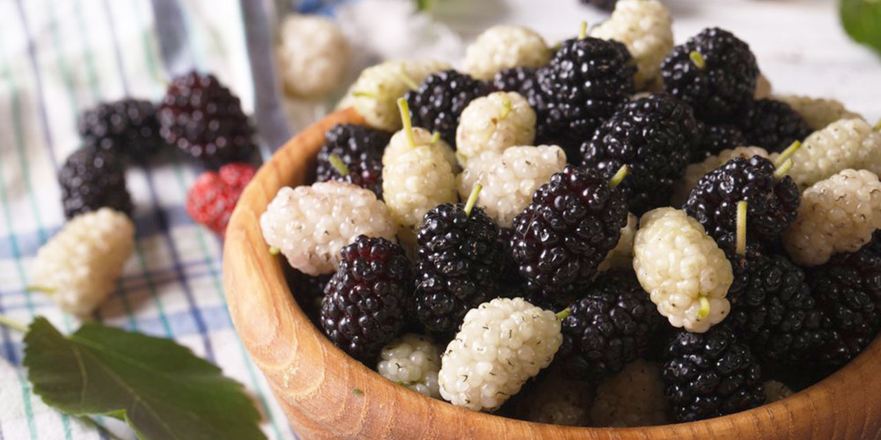 Kainat eczanesinden dut meyvesinin vücuda yaptığı etki