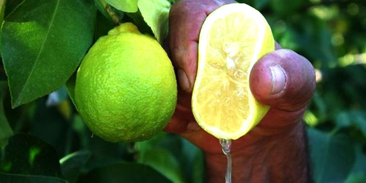 Kainat eczanesinden birkaç damla limonu bileğinize sıkın!