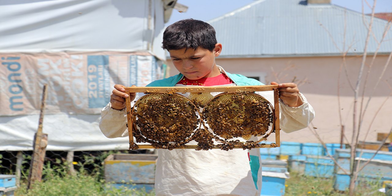 12 yaşındaki Abdulsamet arıcılığı çekirdekten öğreniyor