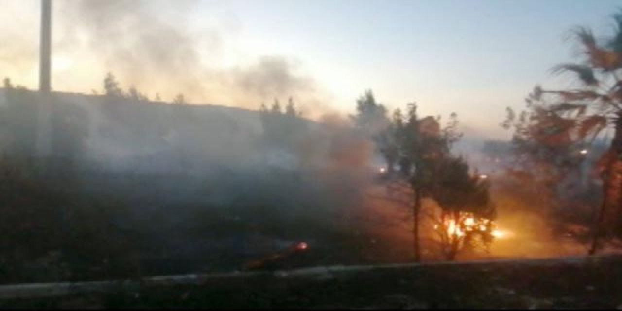 40 dönümlük alanı 'keyfine' yaktı