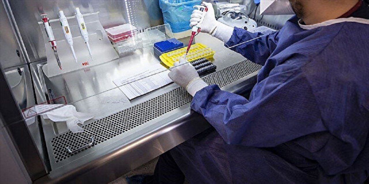 Filistin'den kan donduran iddia: İsrail, Filistinlilerin cesetlerini denek olarak kullanıyor