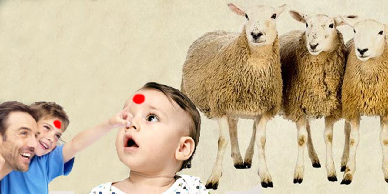 Kurban kanını arabaya, eve, çocuğun alınan sürmek doğru mu?