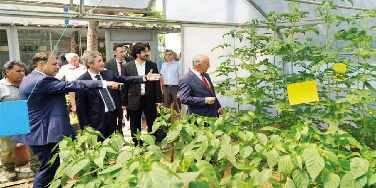 Liseliler tarım yapacak