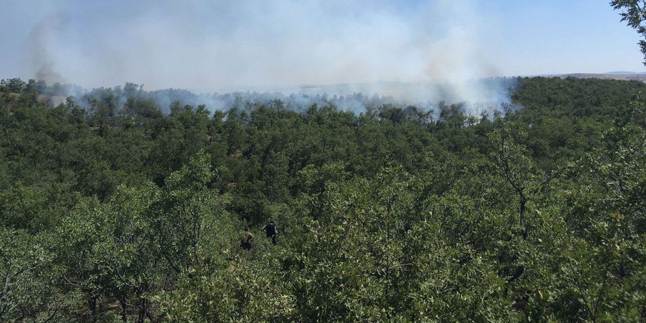 Çorum'da 30 Eylül'e kadar ormanlara giriş yasak