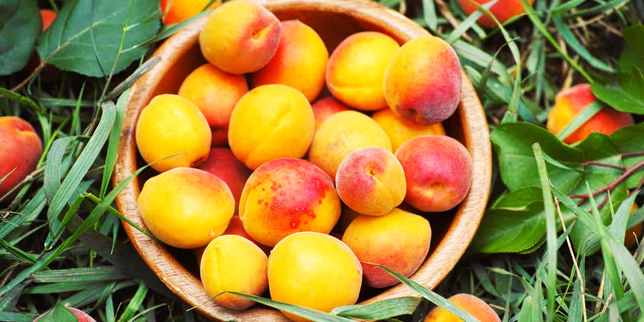 Her gün 4 tane kayısı yiyerek kilo kontrolü