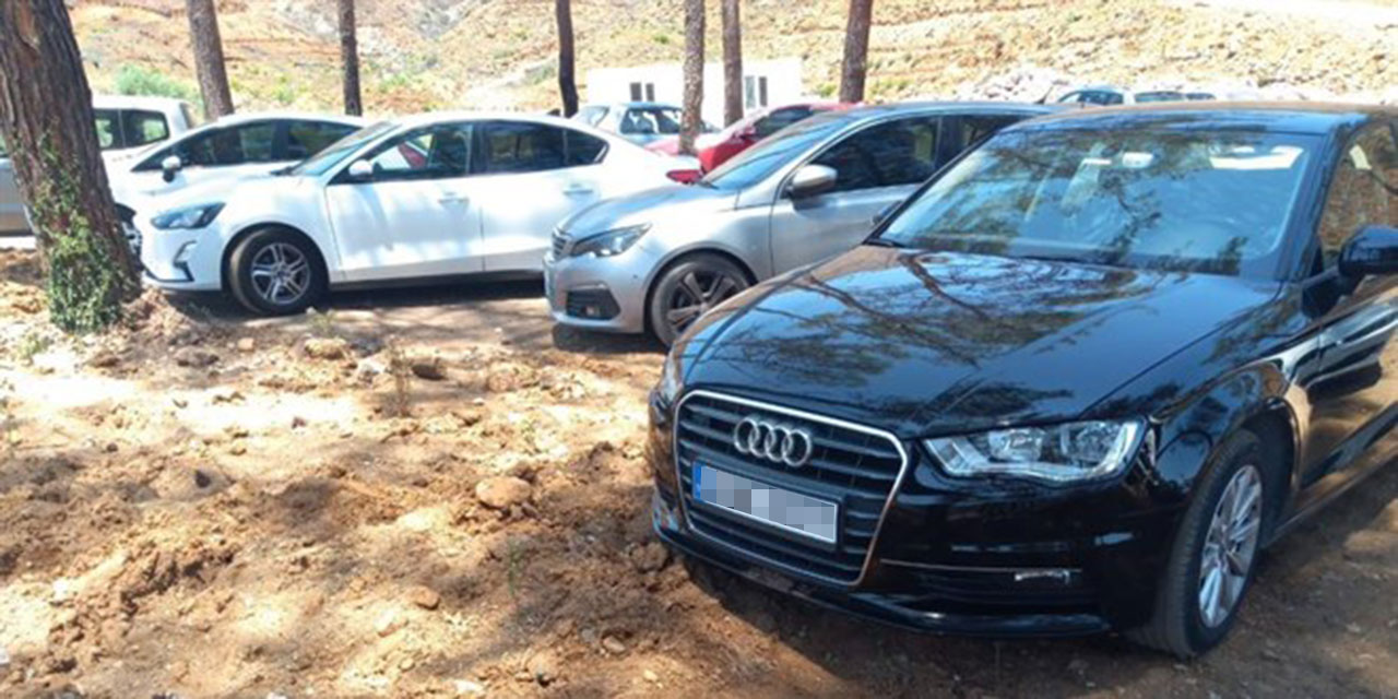 Yangından sonra dikilen fidanların üzerine araçlarını park ettiler