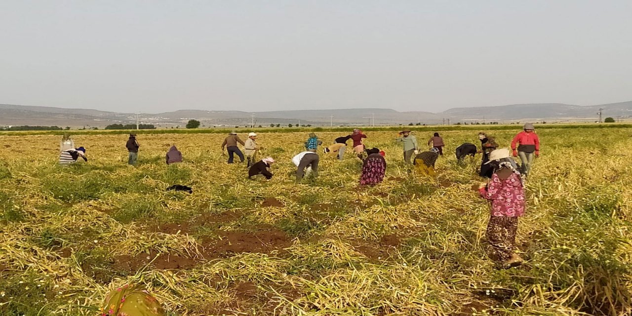 Asgari ücretin altında işçi çalıştıranlara yasal işlem yapılacak