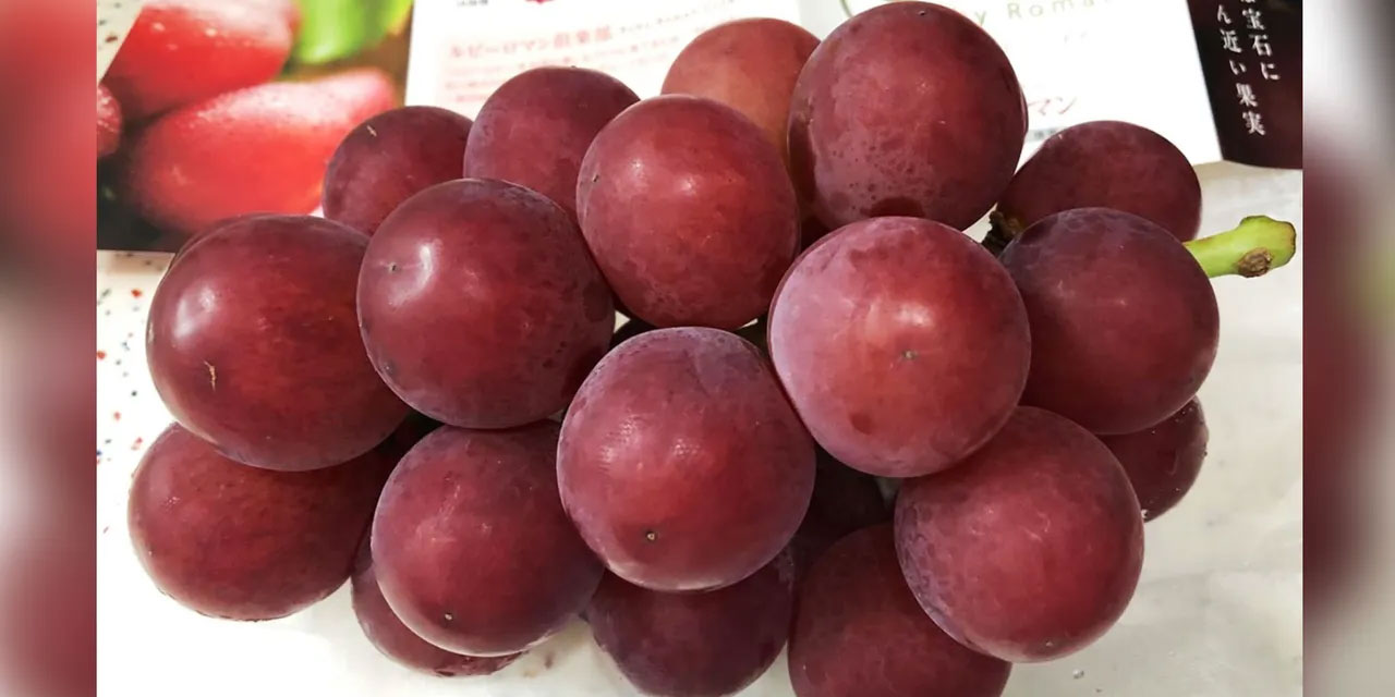 Japonya'da bir salkım üzüm 10 bin 800 dolar