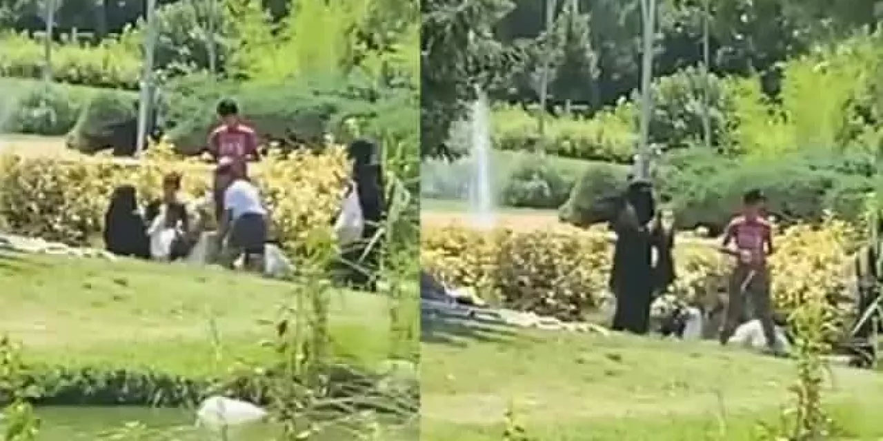 Emniyet, 'Suriyeliler göletteki kazları çaldı' iddiasın yalanladı