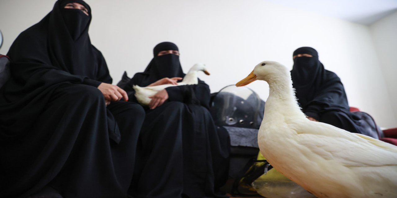 Başakşehir'de göletten ördek çaldıkları iddiasıyla gündeme gelen kadınlardan açıklama