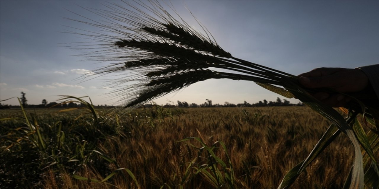 Türkiye ile Sudan ortak tarım şirketi kuracak