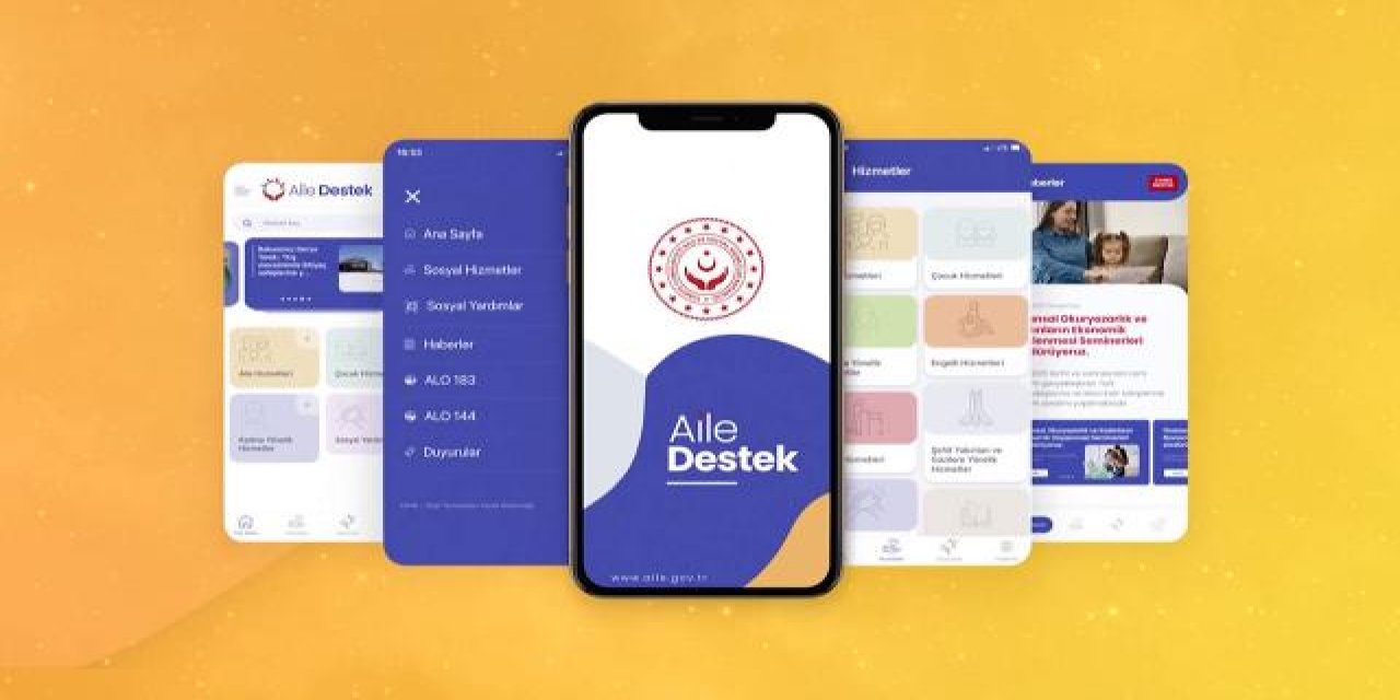 'Türkiye Aile Destek Programı'nın detayları