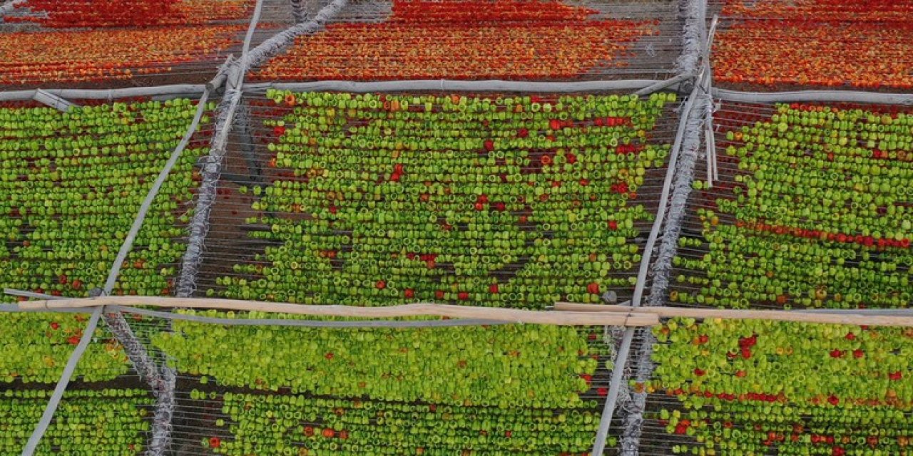 Gaziantep'in tescilli lezzeti 'kurutmalıklar' güneşle buluştu