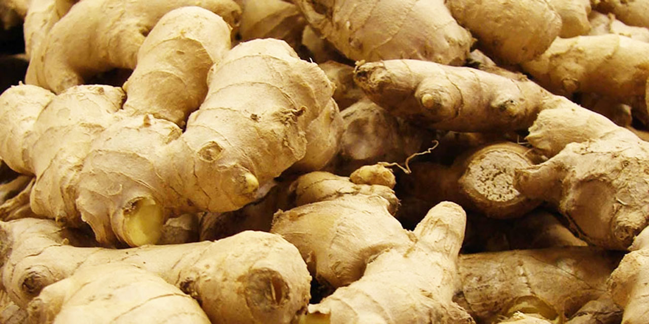 Kainat eczanesinden Zencefil her derde deva