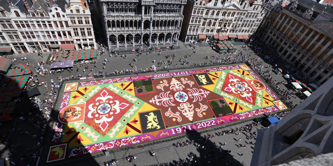 Belçika'nın çiçek halısı yeniden meydanda