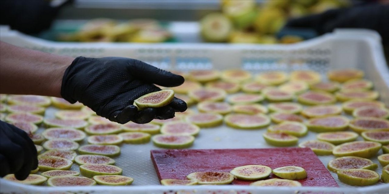 Aydın'da "incir cipsi" mesaisi başladı