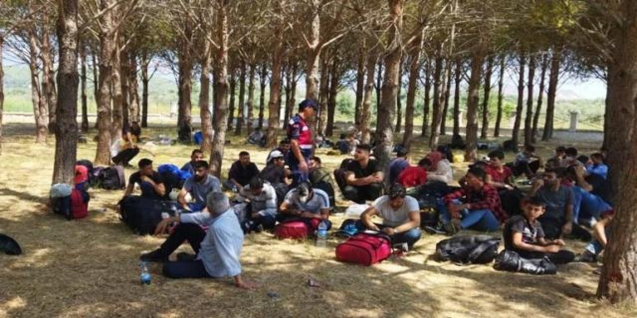 Muğla'da ormanlık alanda 81 düzensiz göçmen yakalandı