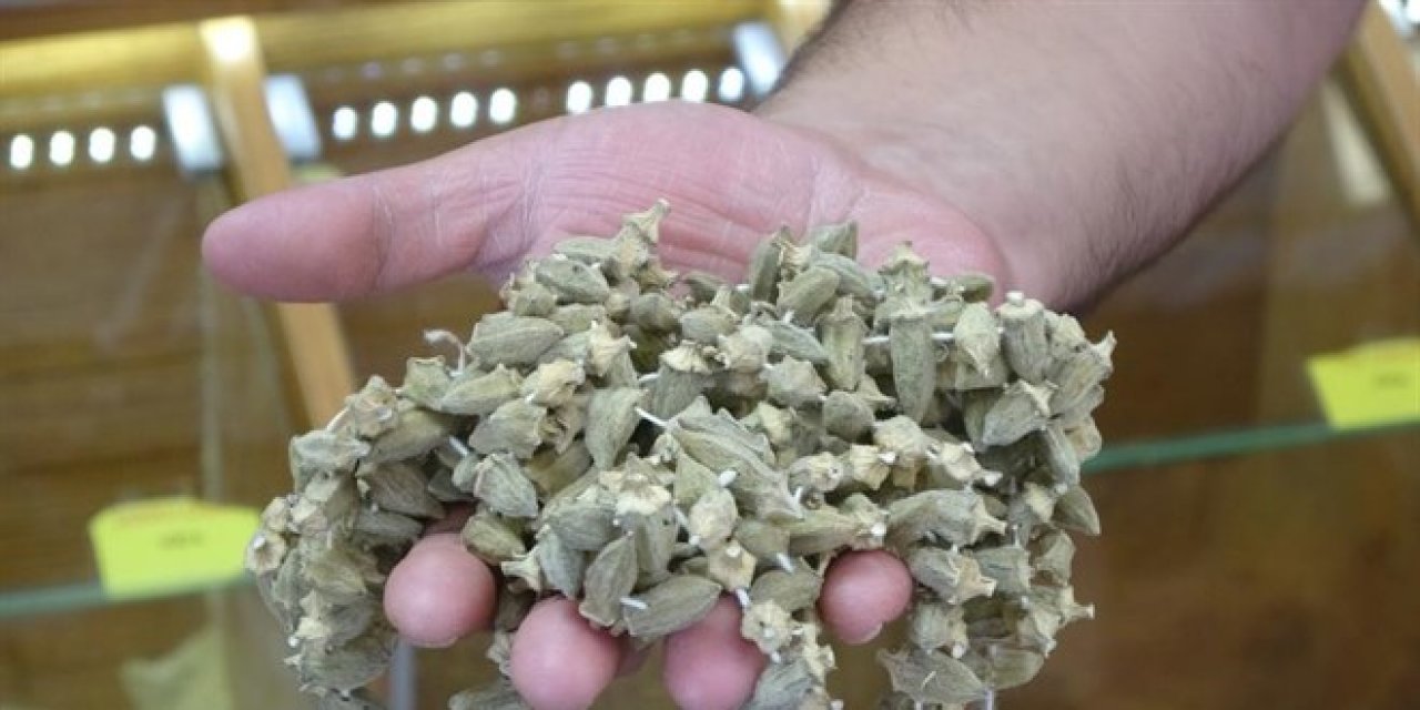 Kuru bamya gram altınla yarışıyor