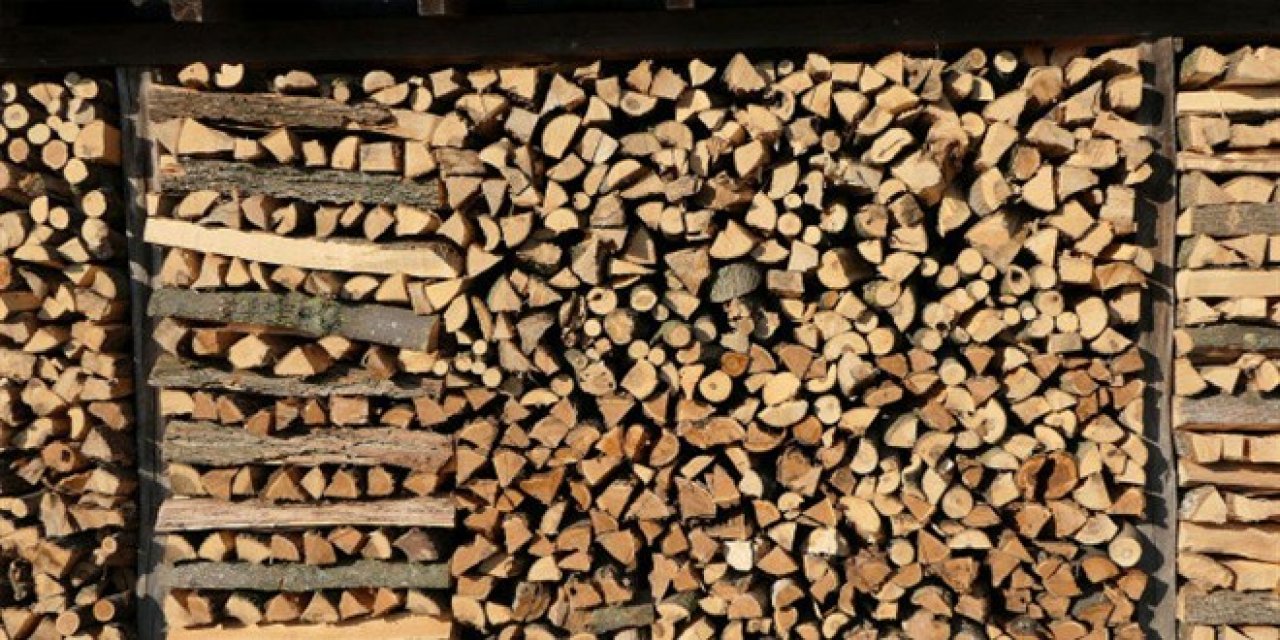 Avrupa odun depolamaya başladı