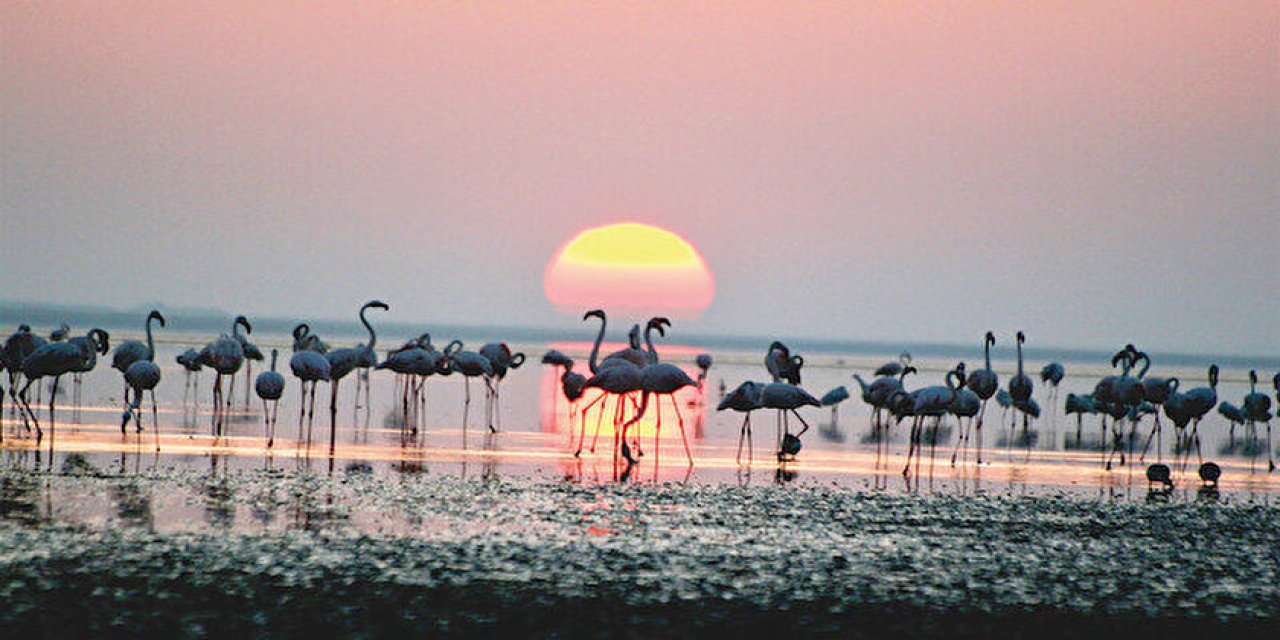 Türkiye’nin yüzde 2,5’u sit alanı