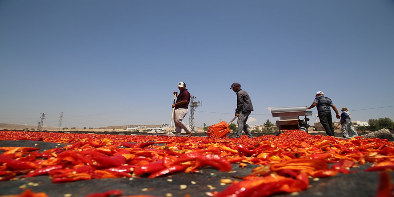 Şanlıurfa'nın tescilli isotu tezgahlarda yerini almaya başladı