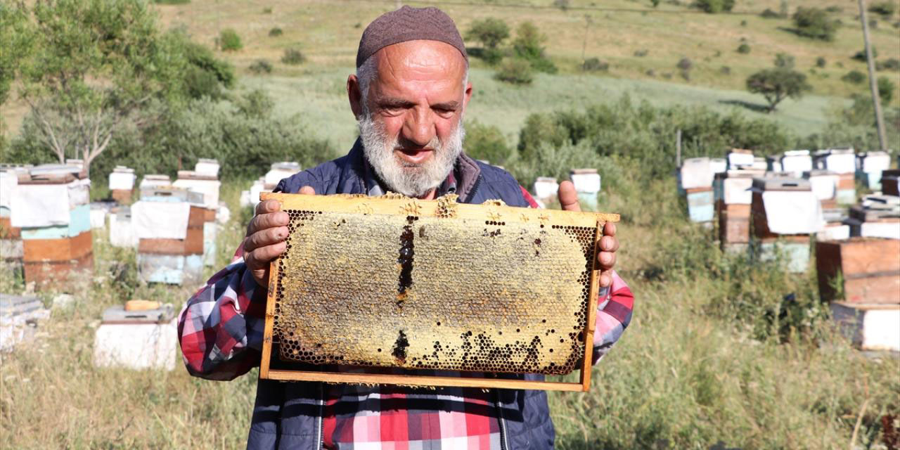 Görme engelli 37 yıldır arıcılık yapıyor: Allah gözü almış ama başka güzellikler vermiş