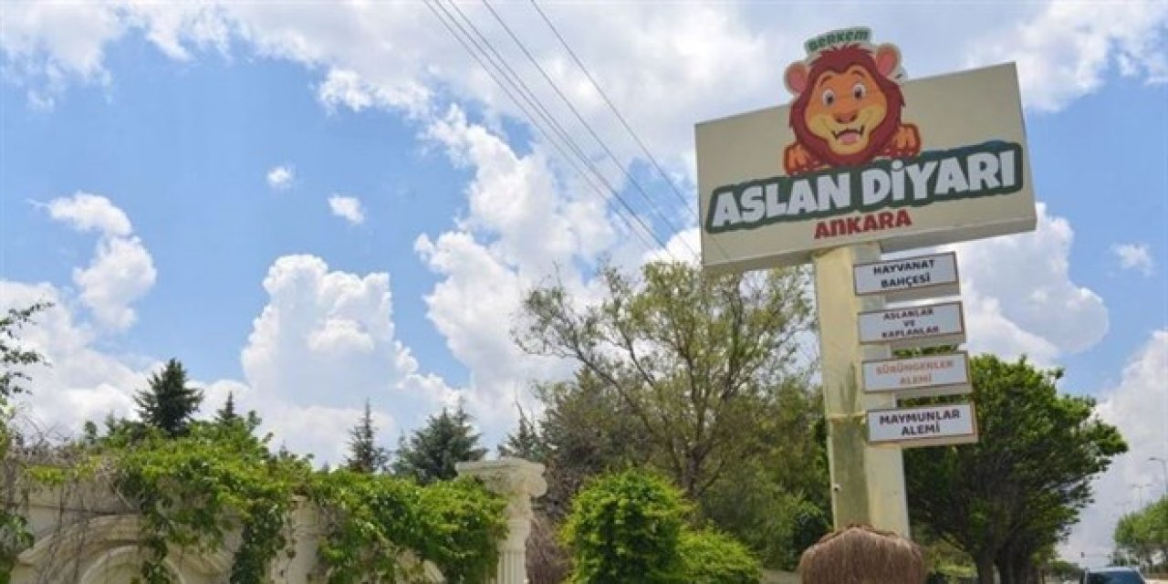 Mahalle arası hayvanat bahçesi: Komşular kükremelerden rahatsız