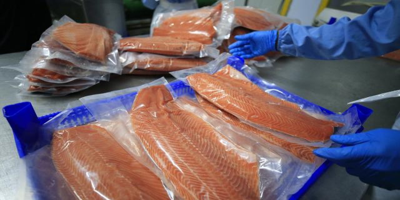 Güçlü bağışıklık için haftada iki kez "balık" yenmesi öneriliyor