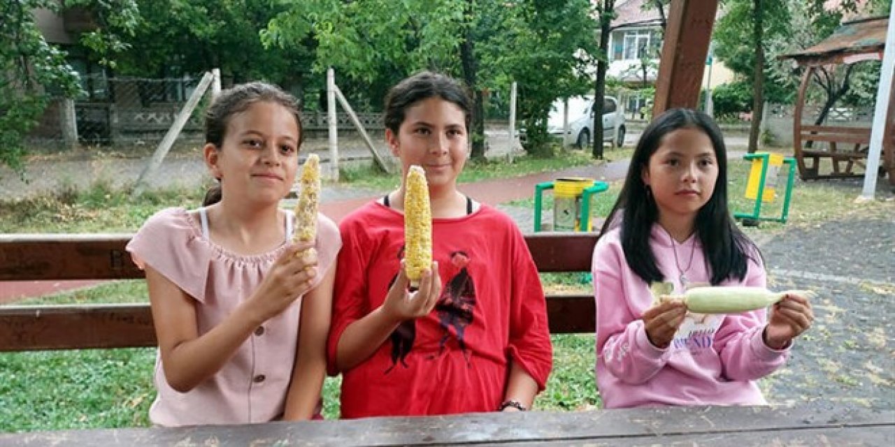 Bahçesinden mısır alan 3 çocuğu dövmüştü, 20 gün tedbir kararı verildi