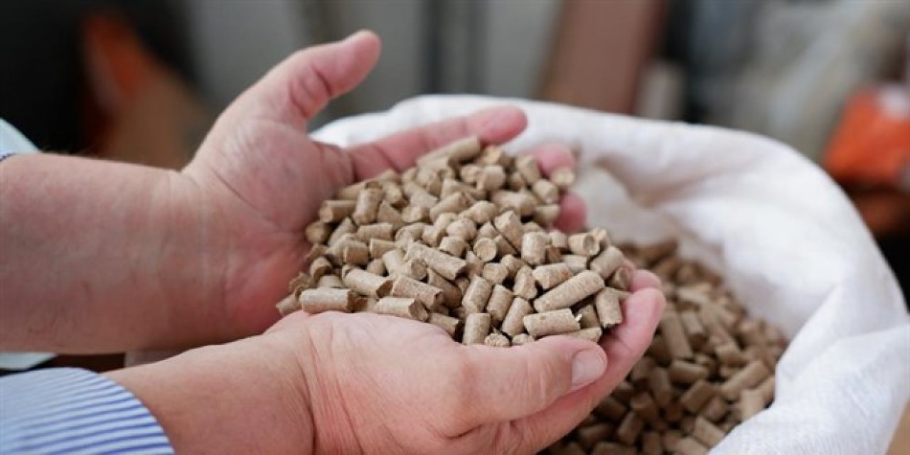 Doğal gaz krizi yaşayan Bulgarlar çareyi Edirne'de buldu