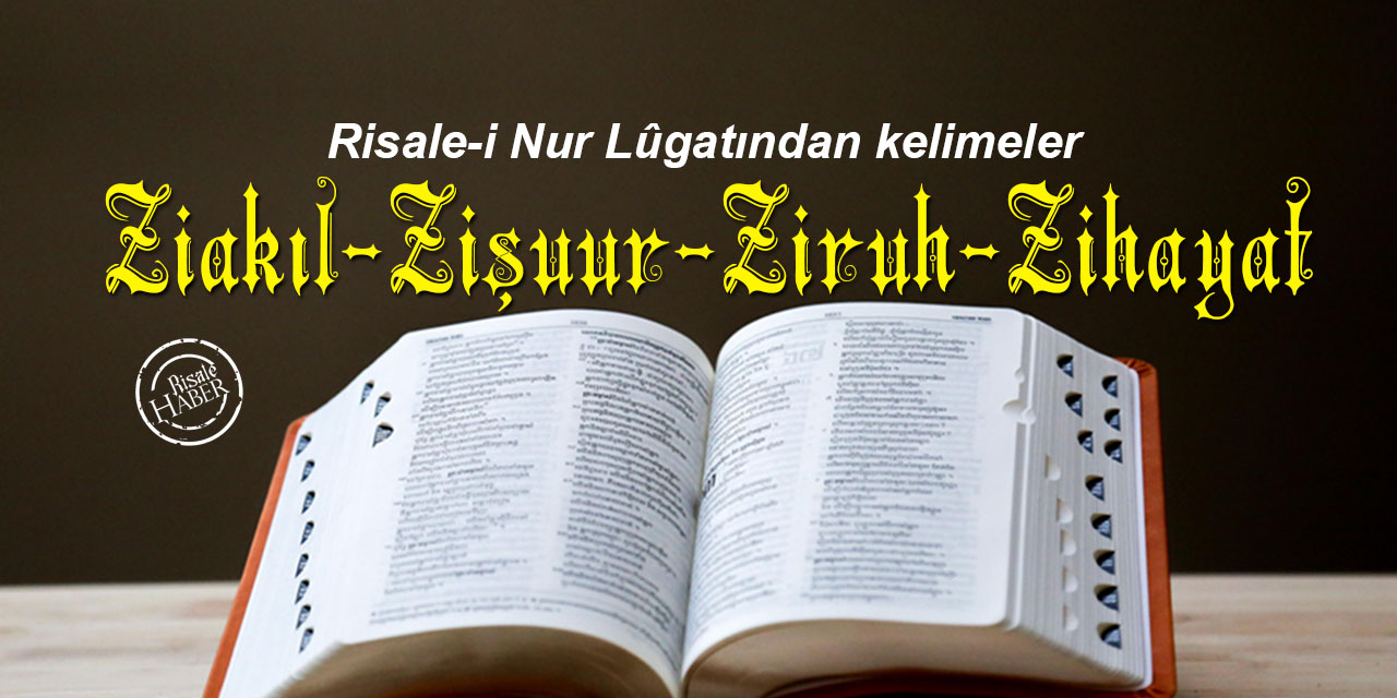 Risale-i Nur Lûgatından kelimeler: Ziakıl, zişuur, ziruh, zihayat