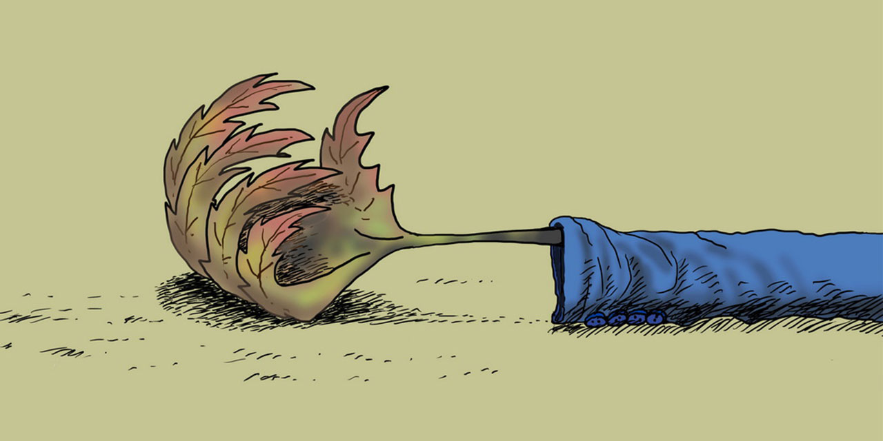 Hâli bizi anlatır, baksan kuru yaprağa