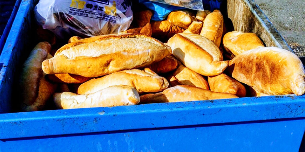 Türkiye'de her gün 12 milyon ekmek çöpe gidiyor