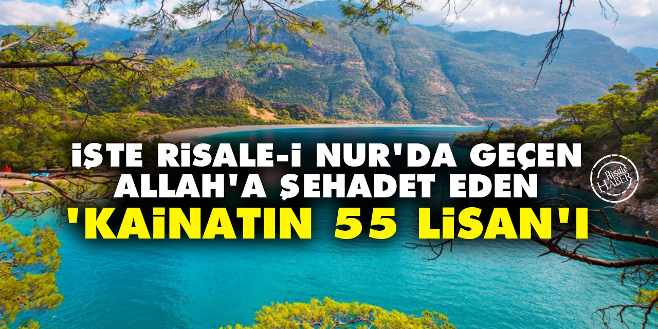 İşte Risale-i Nur'da geçen Allah'a şehadet eden 'kainatın 55 lisan'ı