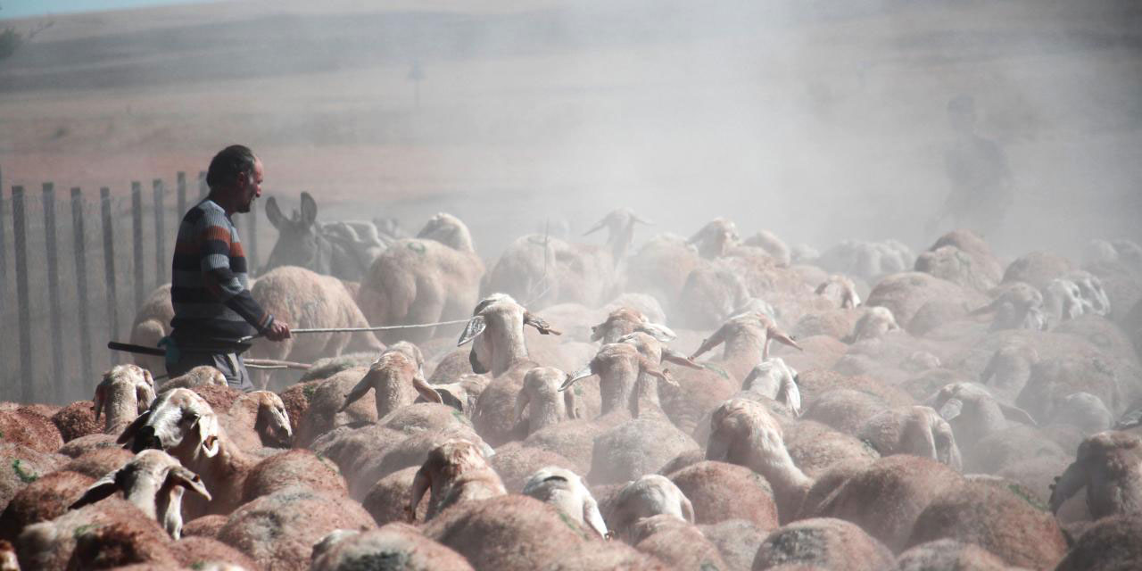 Suya ulaşmak için her gün 15 kilometrelik tozlu yolculuk