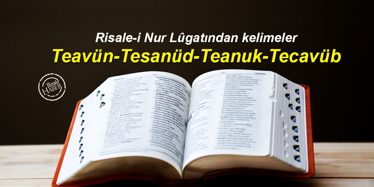 Risale-i Nur Lûgatından kelimeler: Teavün, tesanüd, teanuk ve tecavüb