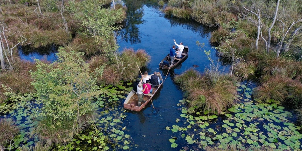Acarlar Longozu'nun turizm destinasyonu genişletilecek