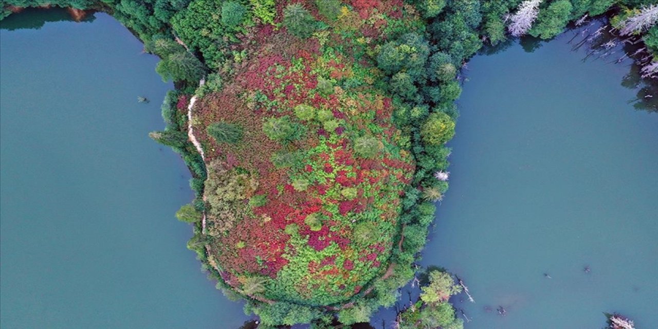 Borçka Karagöl Tabiat Parkı 9 ayda yaklaşık 410 bin kişiyi ağırladı