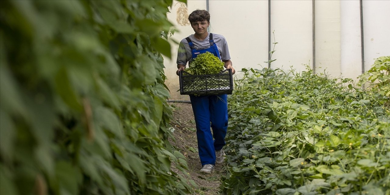 Tarım liseleri dünyadaki iyi model uygulamalarla yeniden şekillendirilecek