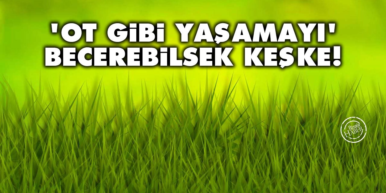 'Ot gibi yaşamayı' becerebilsek keşke!