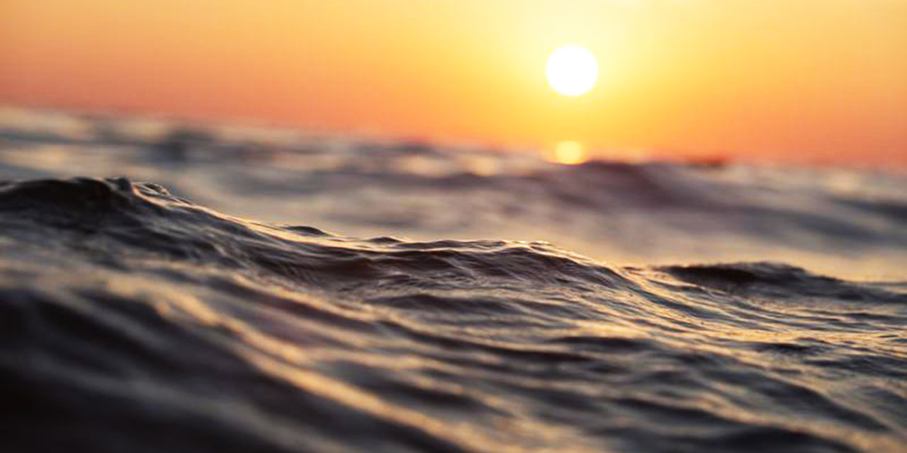 'Denizden babam çıksa yerim!' İmam Şafii'nin böyle bir sözü var mı?