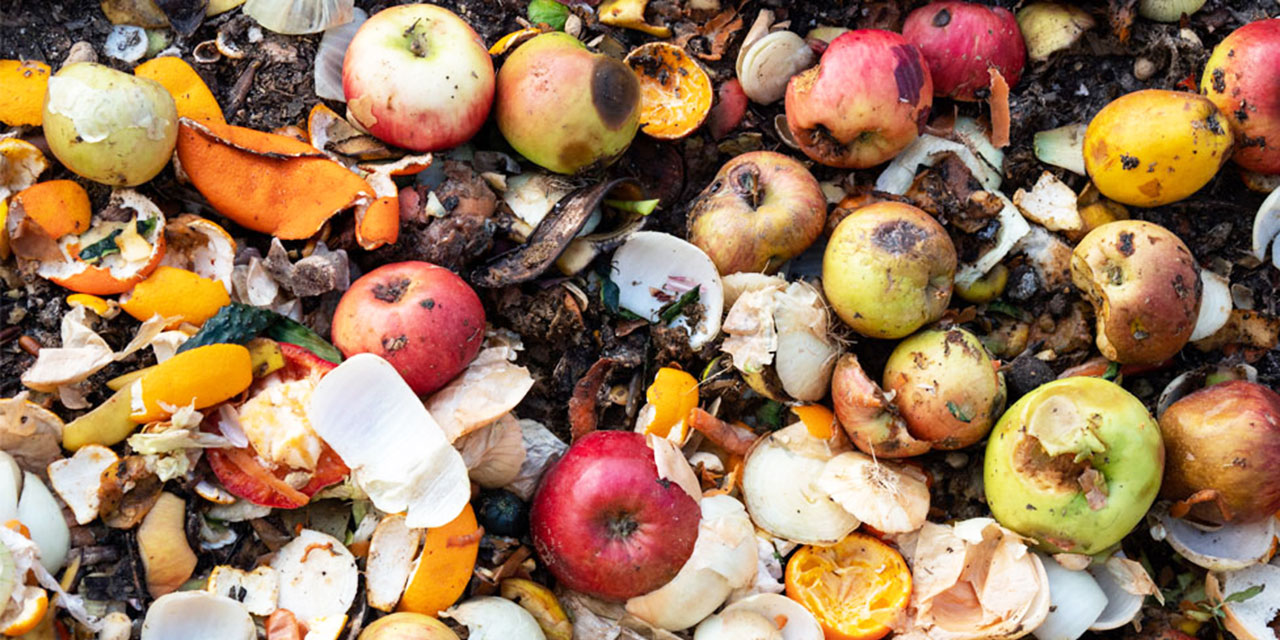 Türkiye'de her yıl 23 milyon ton gıda israf ediliyor