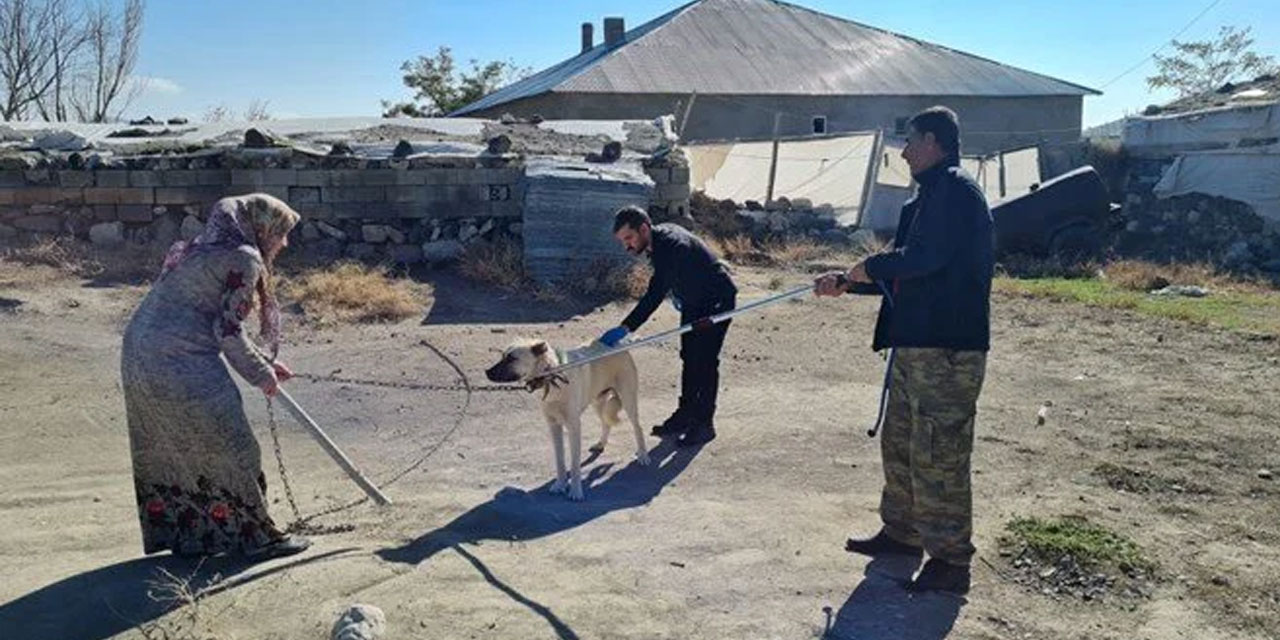 Bitlis'te kuduz olan çocuğun babası konuştu: Köpek ısırdığını bilseydik daha önce götürürdük