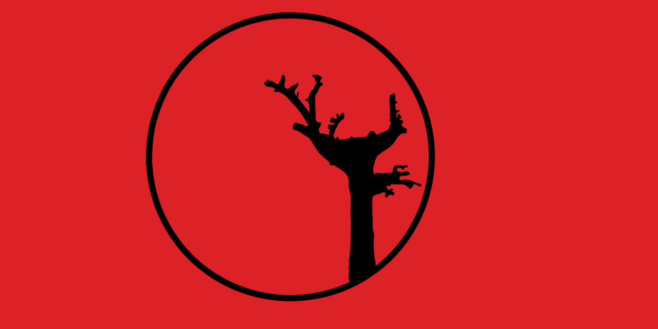 Medresetü'z-Zehra’nın tesisine çalışmak