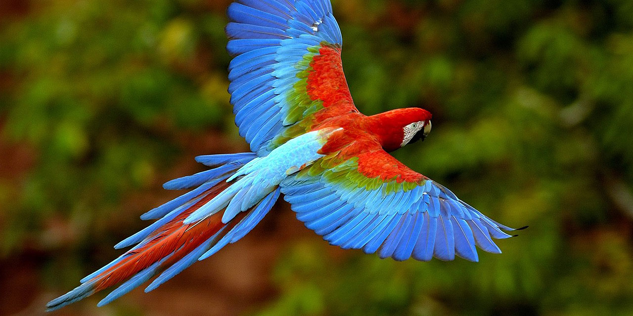 Yaratılış Kongresinden Yansıyanlar