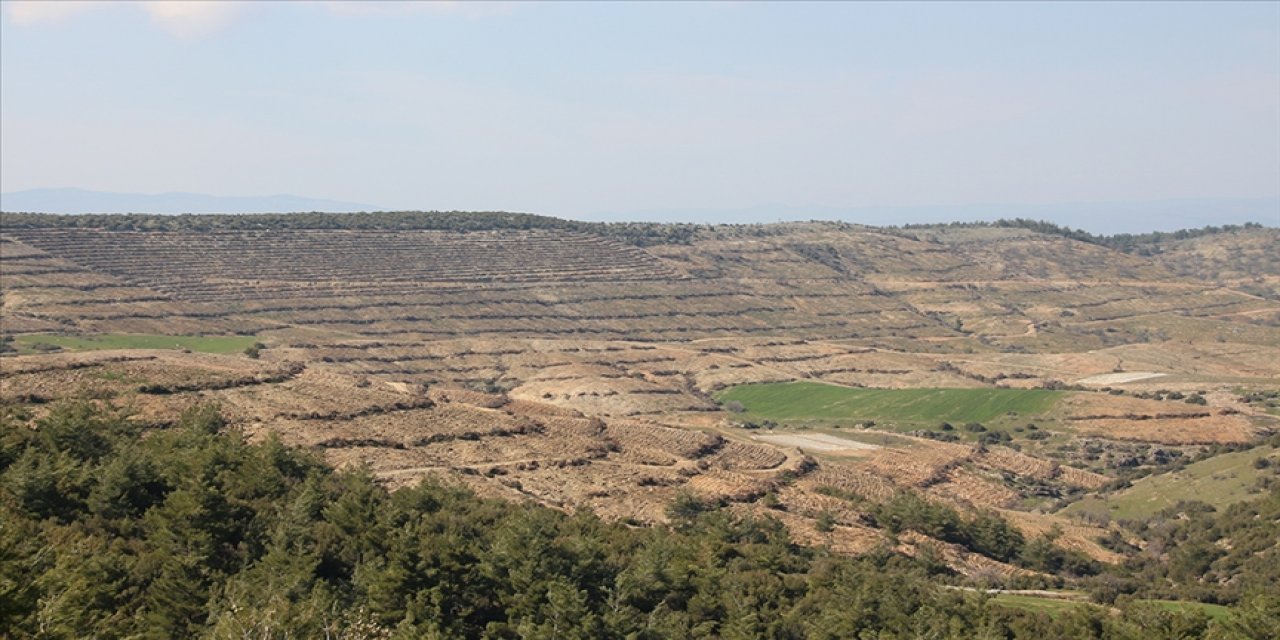 1 santim toprak 500 yılda oluşuyor ama erozyonla sadece 45 yılda kayboluyor