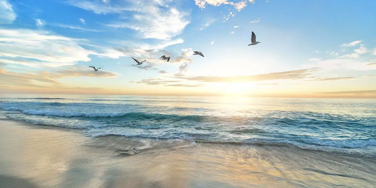 Bediüzzaman: Hakta ittifak, ehakta ihtilâf olduğundan, bazan hak, ehaktan ehaktır