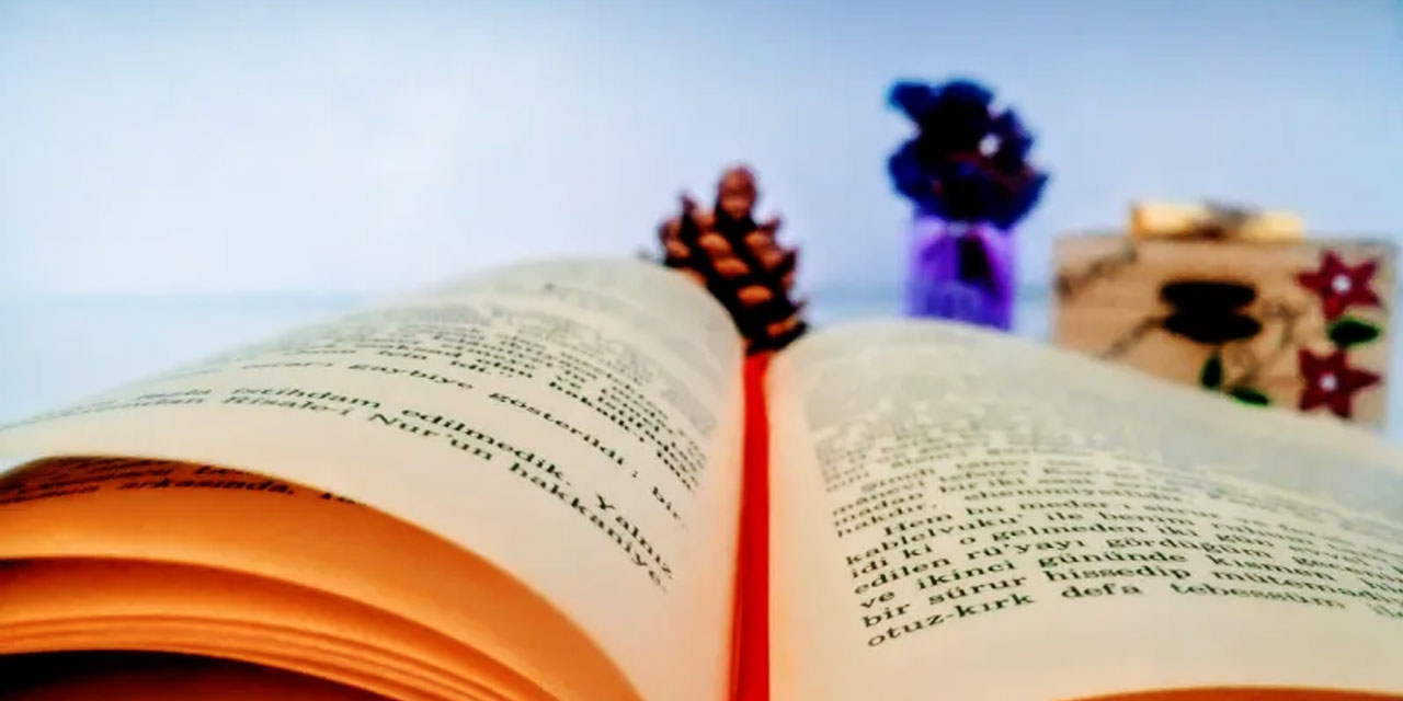 Risale-i Nur'un faaliyetleri gürültüsüz, şâşaasız, mütevazi fakat muazzam bir şekilde cereyan etmektedir